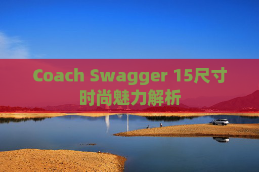 Coach Swagger 15尺寸时尚魅力解析